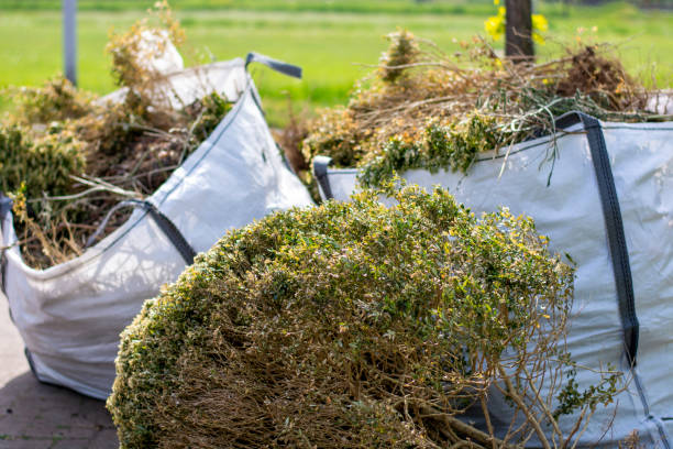 Best Affordable Junk Removal Services  in Pueblo, CO